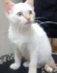 Cléo