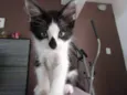 Fofo e Lili