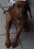 Mel