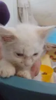 Marie