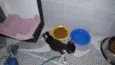 Tom