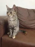 Matilda