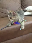 Matilda
