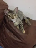 Matilda