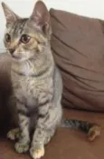 Matilda