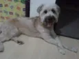 Marley