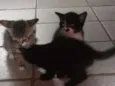ainda nao possui