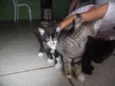 ainda nao possui