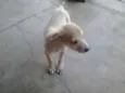Lili