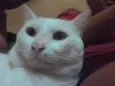 branquinho