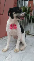 Casa dos horrores -