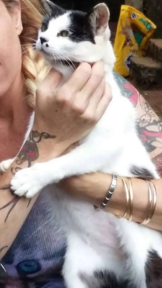 Gato ra a  idade  nome Casa dos horrores -