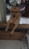 Não sei