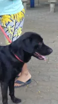 Marley