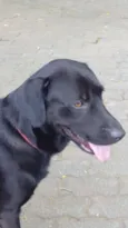 Marley