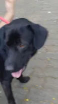 Marley