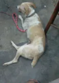 Nina 