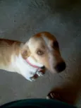 Nina 