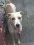 Nina 