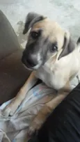 TED