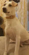 Yuki