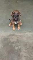 BEBEZINHA