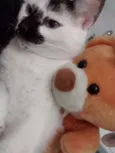 Pedrita e Pedro