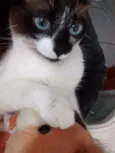 Pedrita e Pedro