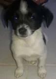 Snoop