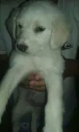 nao tem ainda