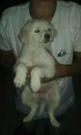 NAO TEM AINDA