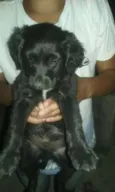 NAO TEM AINDA