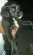 NAO TEM
