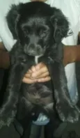 NAO TEM AINDA