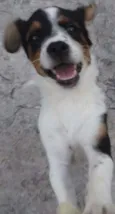 Nina