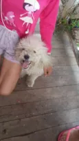 Bili