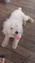 Bili