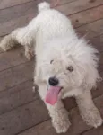 Bili