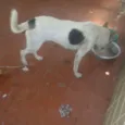 Cici