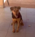Frida