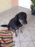Nina