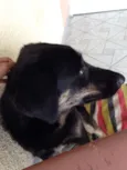 Nina