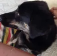 Nina