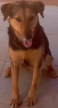 Frida