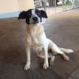 Não tem 