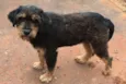 Encontrado