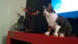 Thor e Loki