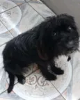 Tobi