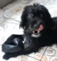 Tobi