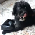 Tobi